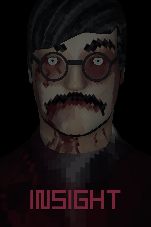 Insight 封面