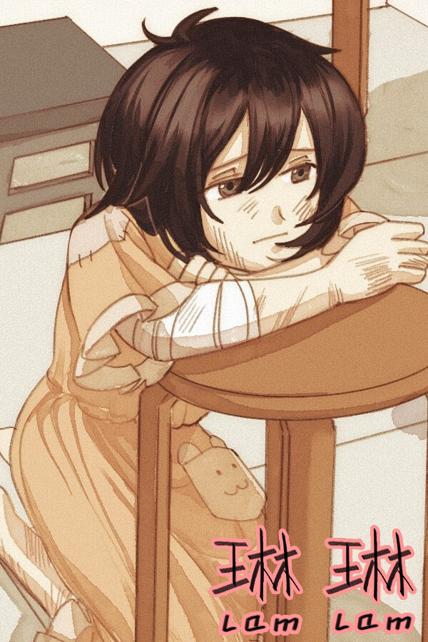 琳琳 封面